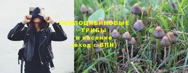MDMA Premium VHQ Алзамай