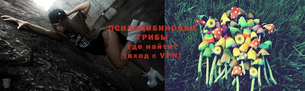 марки nbome Алексеевка