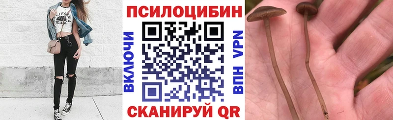 купить закладку  Данков  Галлюциногенные грибы ЛСД 